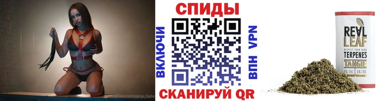 Бутират жидкий экстази Черноголовка