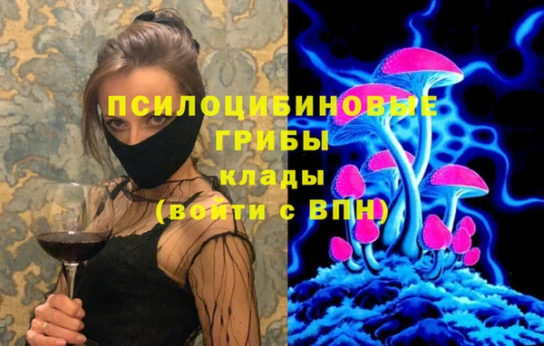 круглые Дмитриев