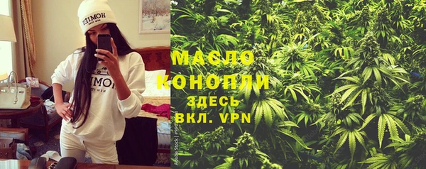 тгк Дмитровск