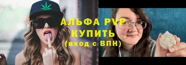 тгк Дмитровск