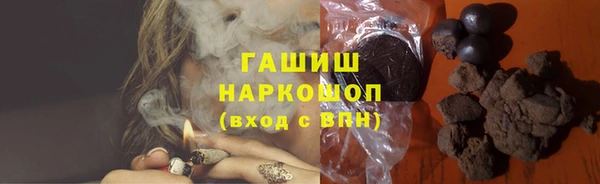 СК Ельня