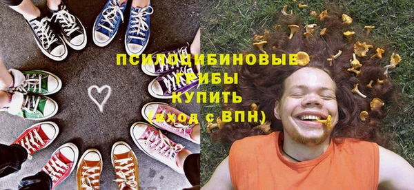 СК Ельня