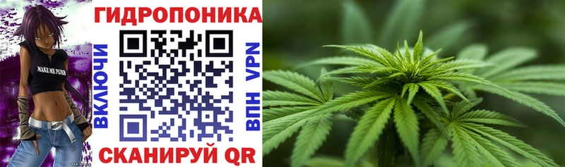 Шишки марихуана тримм  наркотики  Черноголовка 